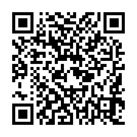QR code for QLI993