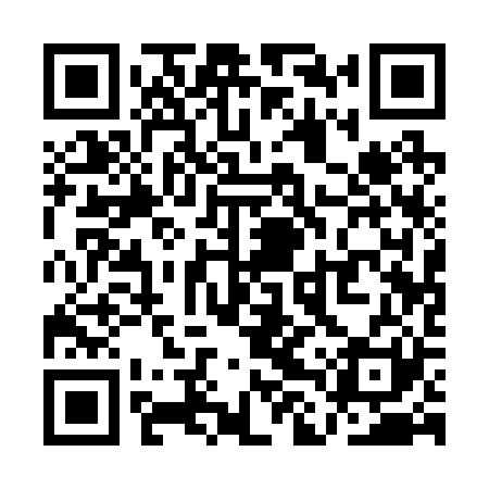 QR code for QLQ221