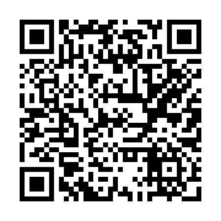 QR code for QLT397