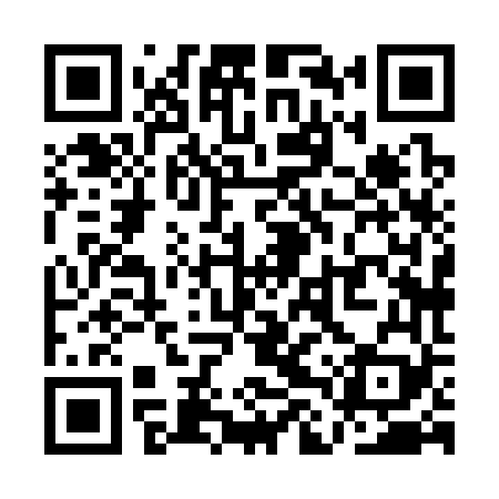 QR code for QLX369