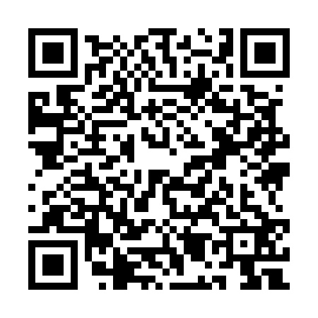QR code for QM95229