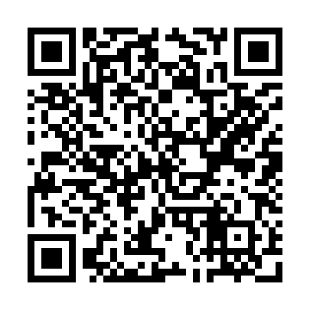 QR code for QN3980