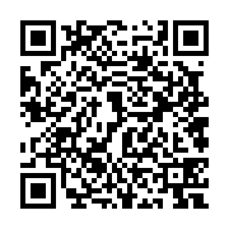 QR code for QN60386