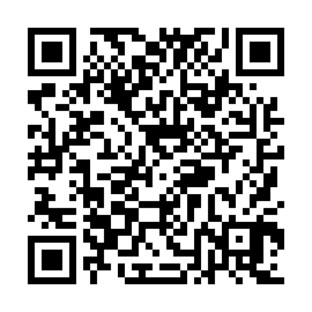 QR code for QNH500