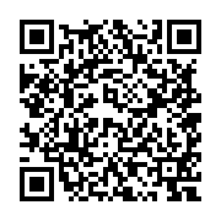 QR code for QP78919