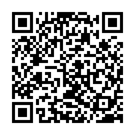 QR code for QPY919