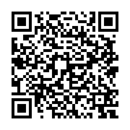 QR code for QR94228