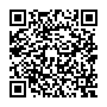QR code for QR95951