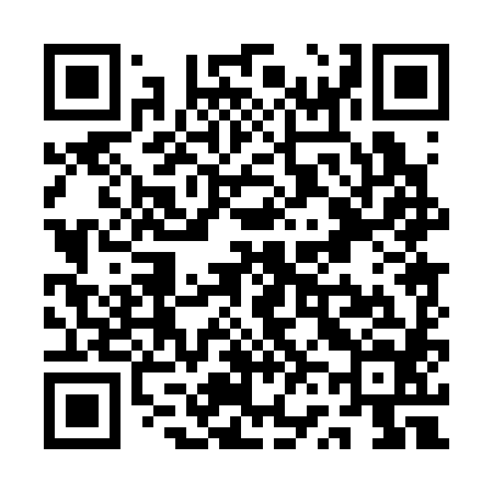 QR code for QV0384