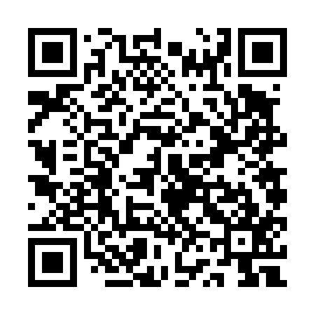 QR code for QV6417