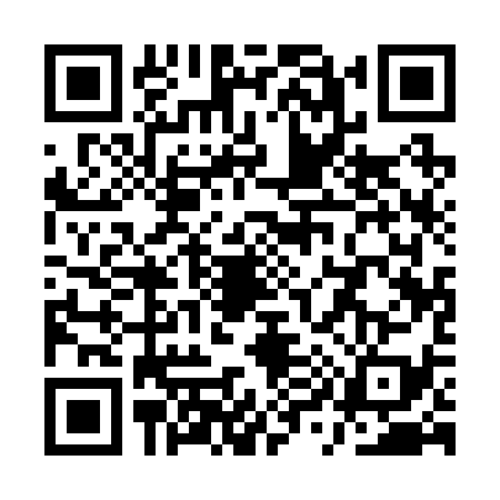 QR code for QY12393