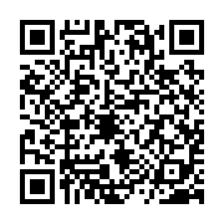 QR code for QY12993