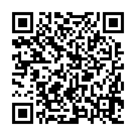 QR code for QYR297