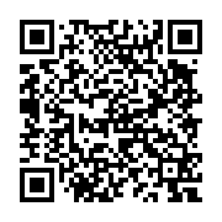 QR code for QYX460