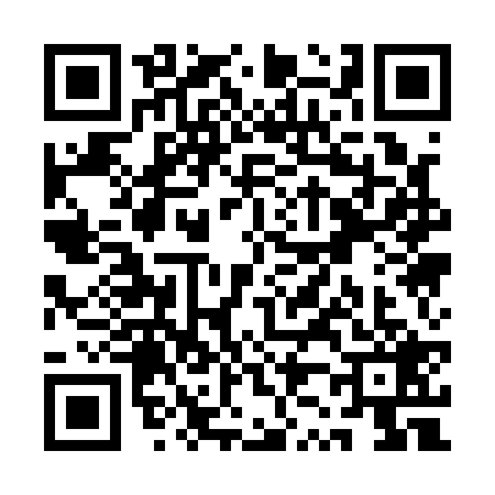 QR code for QZ11293