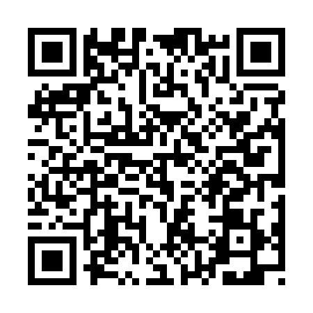 QR code for QZ41299