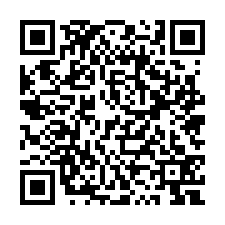 QR code for QZ53334