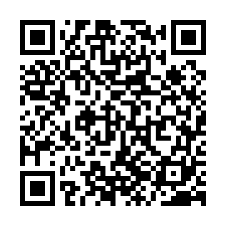 QR code for QZG161