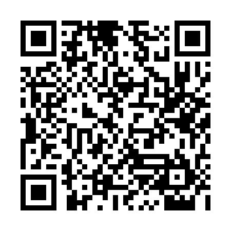 QR code for QZH335