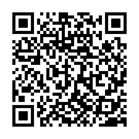 QR code for QZN378
