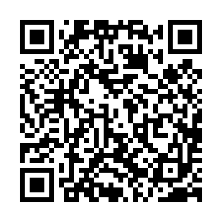 QR code for QZP493