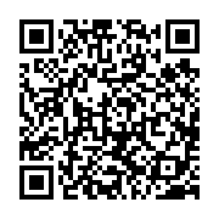 QR code for QZP699