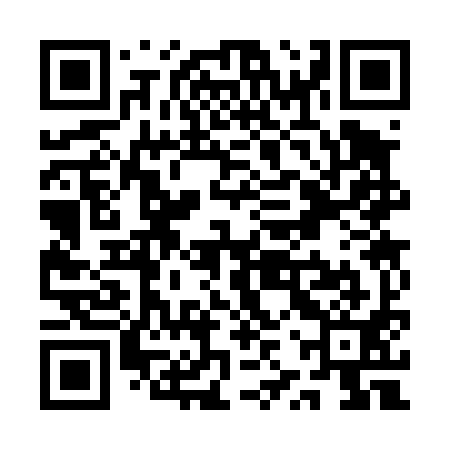 QR code for QZS491