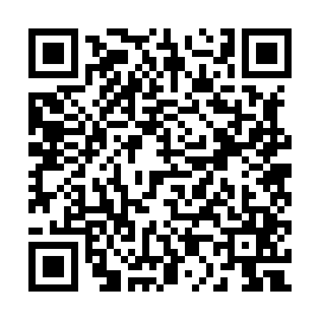QR code for R028451