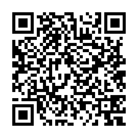 QR code for R029389