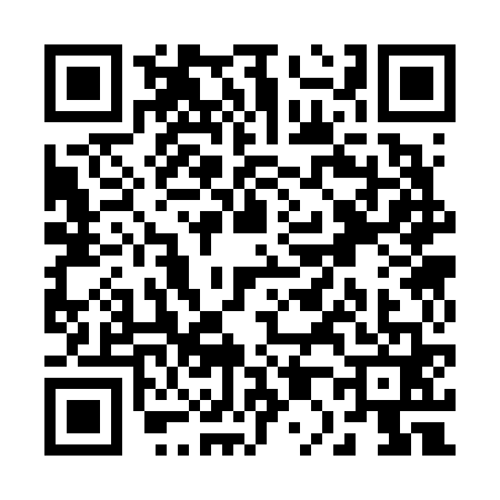 QR code for R036619