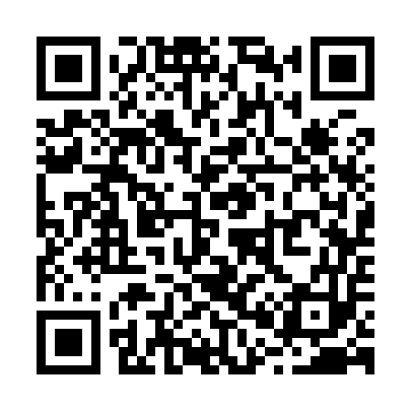 QR code for R03953