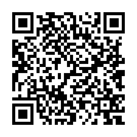 QR code for R049379