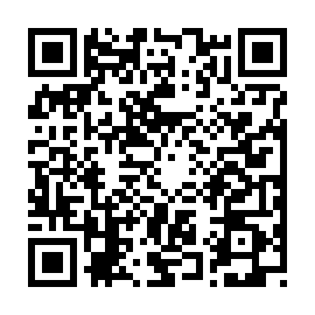 QR code for R126401