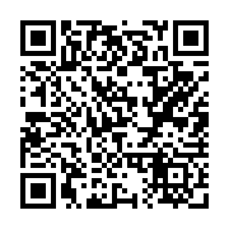 QR code for R17463