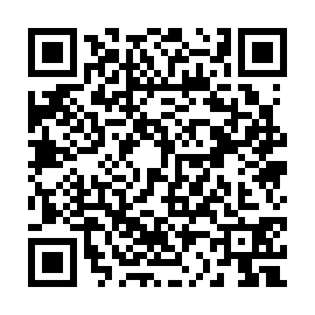 QR code for R213303