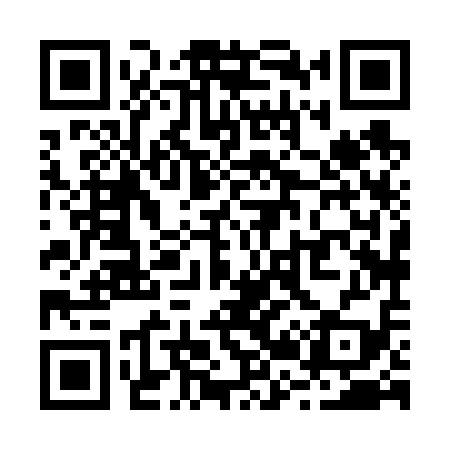 QR code for R28619