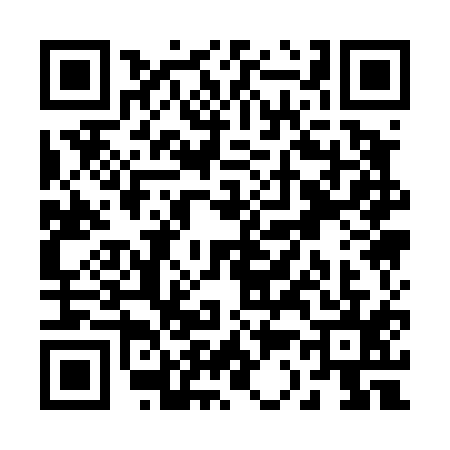 QR code for R314159