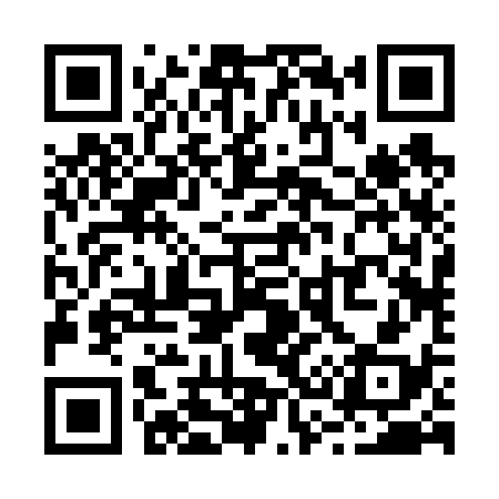 QR code for R32638