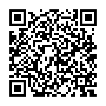 QR code for R333125