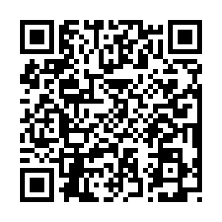 QR code for R335382