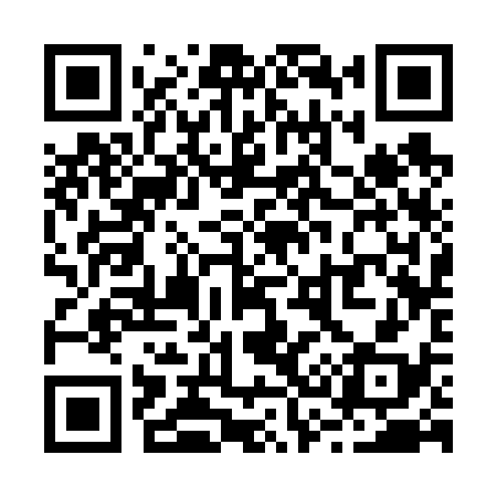 QR code for R33638