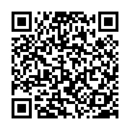 QR code for R36028