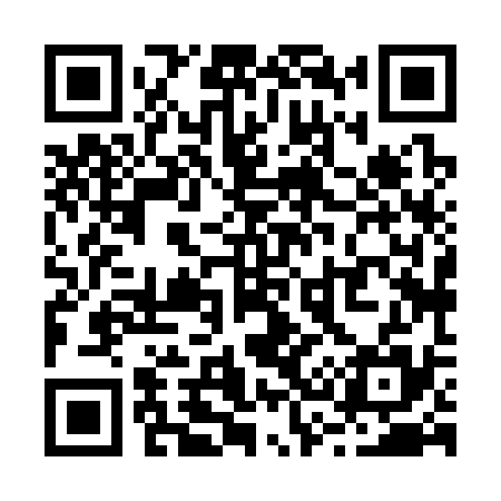 QR code for R38335