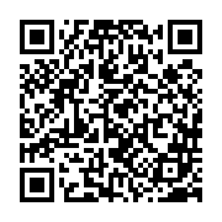 QR code for R38542
