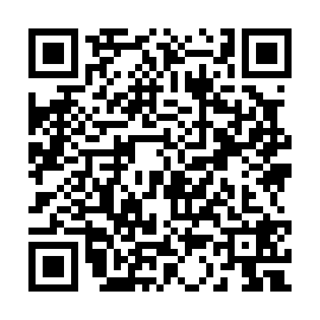 QR code for R390286