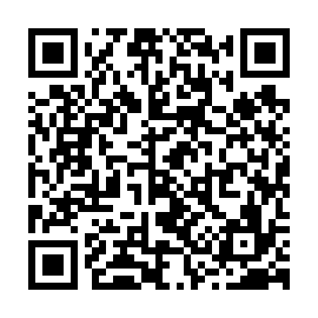 QR code for R39636