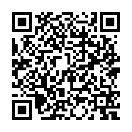QR code for R397647
