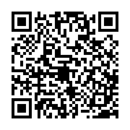 QR code for R501833