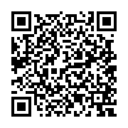 QR code for R520411