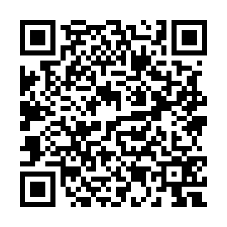 QR code for R595761